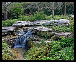 Dallas Blooms at the Dallas Arbotereum on 3/21/2009