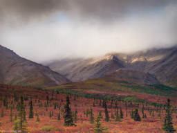 Denali National Park, Alaska